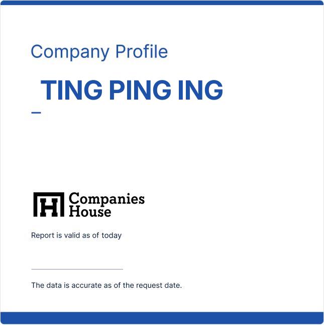 TING PING ING | Companies House Registry Search
